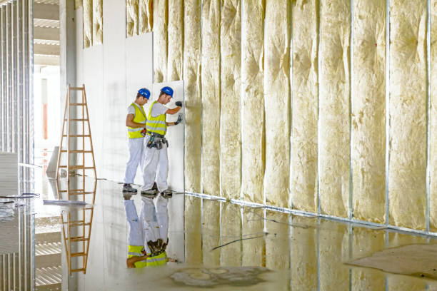 Best Insulation Maintenance and Repair in Lockhart, FL